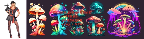 стафф Алексин