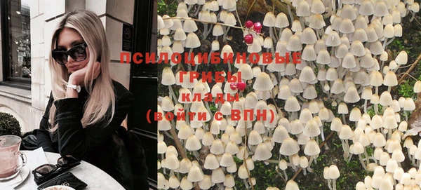 ГАЛЛЮЦИНОГЕННЫЕ ГРИБЫ Алзамай