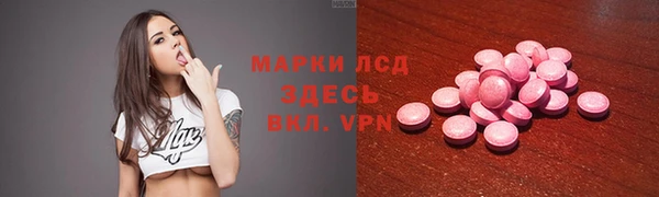 ГАЛЛЮЦИНОГЕННЫЕ ГРИБЫ Алзамай