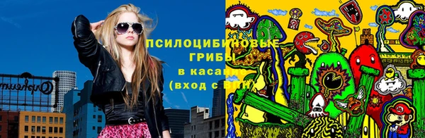 стафф Алексин
