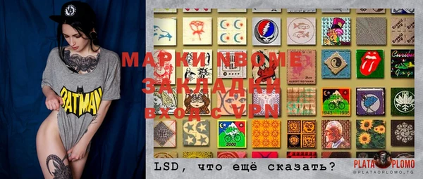 ГАЛЛЮЦИНОГЕННЫЕ ГРИБЫ Алзамай