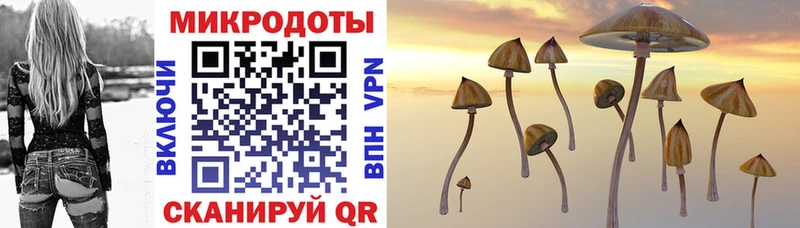 наркотики  Харовск  Псилоцибиновые грибы Magic Shrooms 